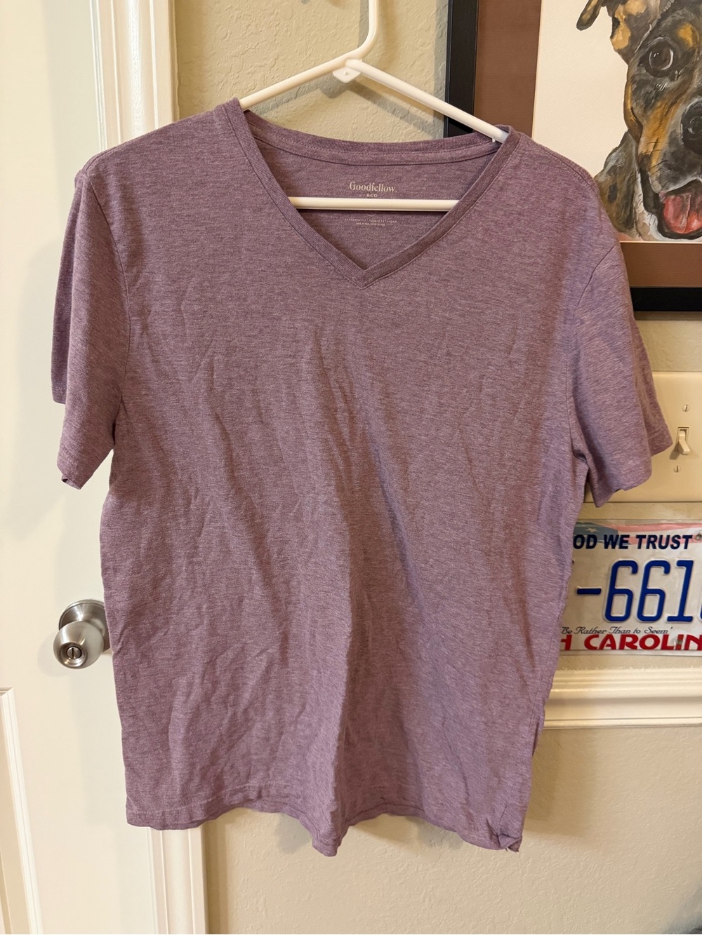Goodfellow & Co Men V-Neck Tee in Heather Mauve